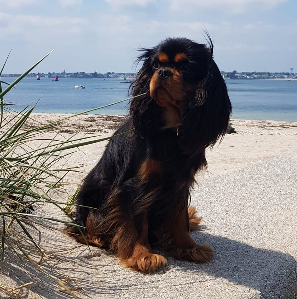 Time After Time des petits Anges de Sophie