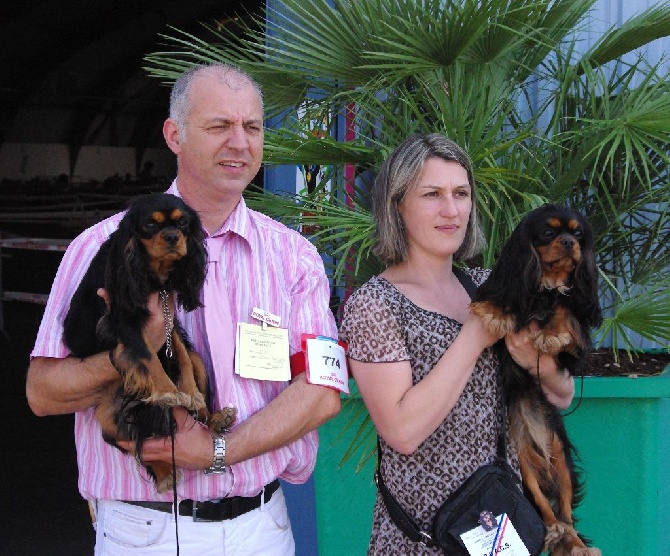 des petits Anges de Sophie - Résultats de la spéciale de La Rochelle