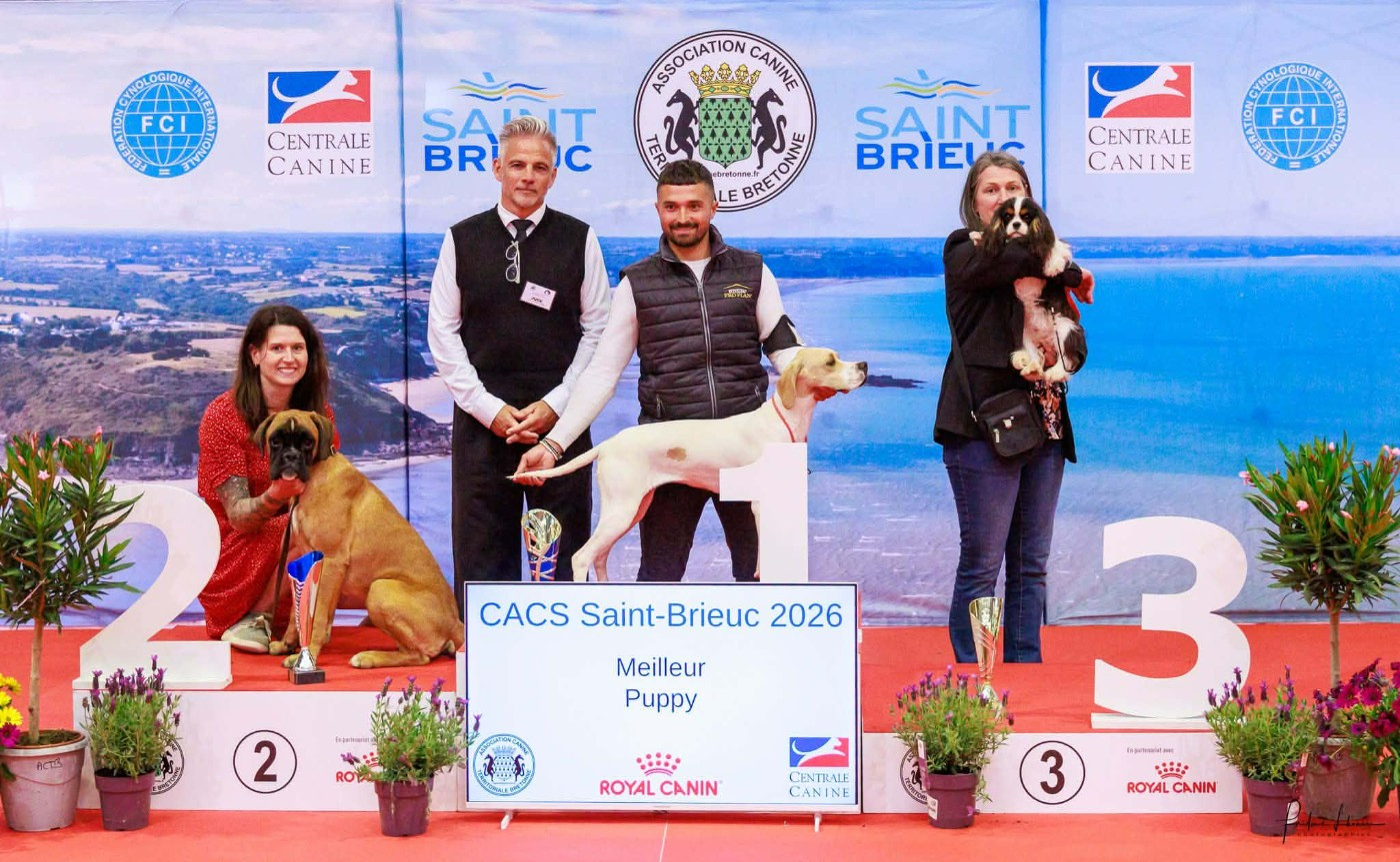 des petits Anges de Sophie - RESULTATS SPECIALE DE RACE SAINT BRIEUC 9 MAI 2026