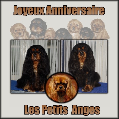 des petits Anges de Sophie - JOYEUX ANNIVERSAIRE