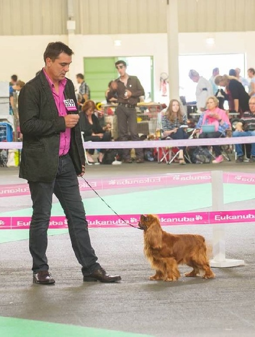 des petits Anges de Sophie - Résultats des Petits Anges au Championnat de France à Anger