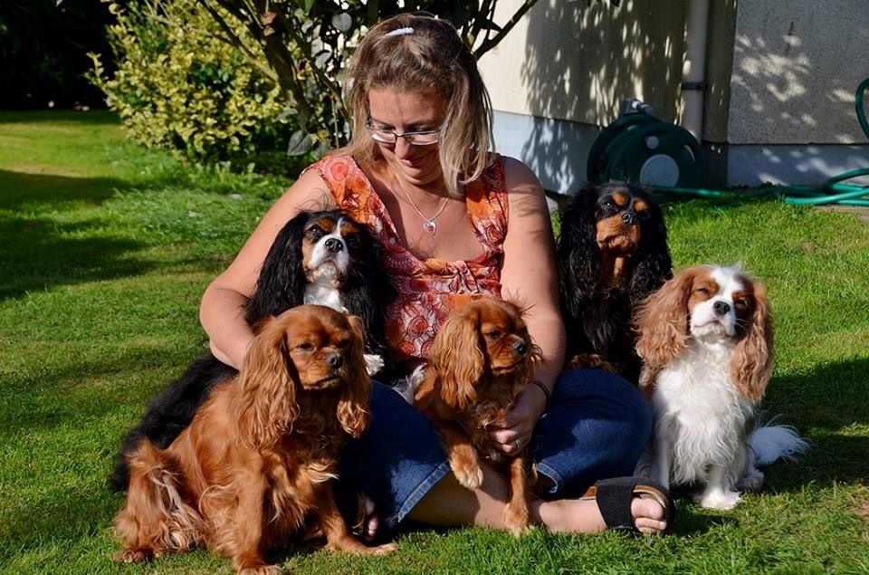 des petits Anges de Sophie - Nouvelle Rubrique "Chien Visiteur"