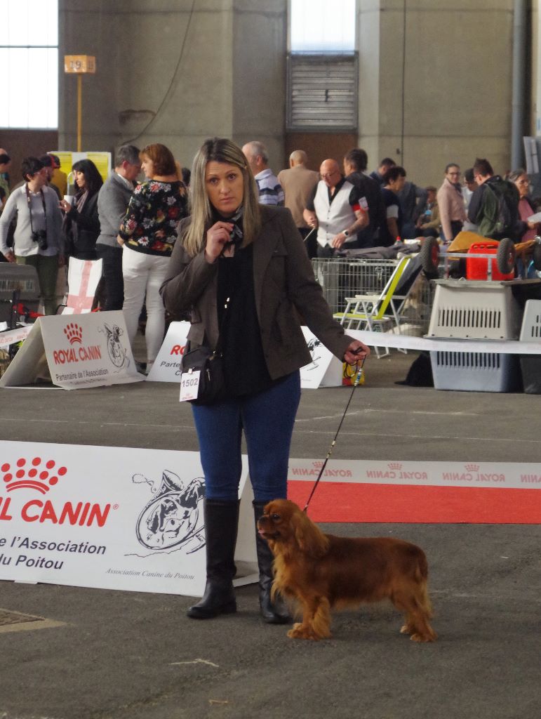 des petits Anges de Sophie - RESULTATS DE LA SPECIALE DE RACE DE POITIERS