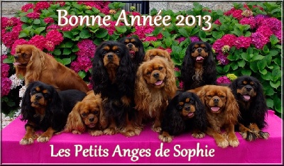 des petits Anges de Sophie - MEILLEURS VOEUX